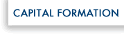 CAPITAL FORMATION